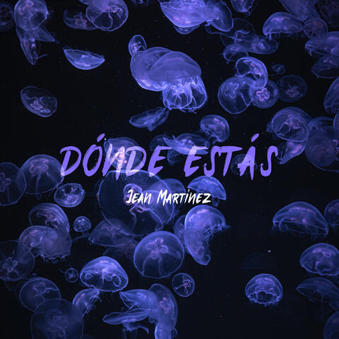Dónde Estás