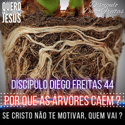 Porque as Arvores Caem | Motivados em Cristo 44