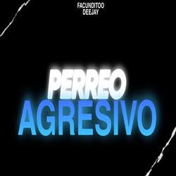 Perreo Agresivo