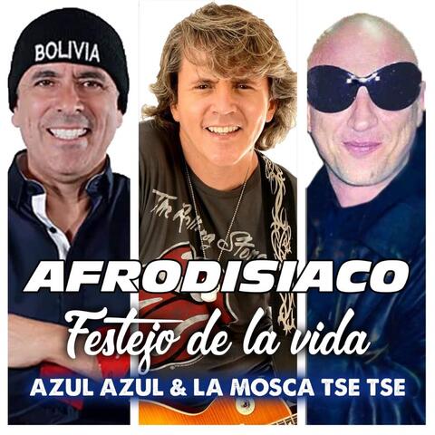 Festejo de la Vida