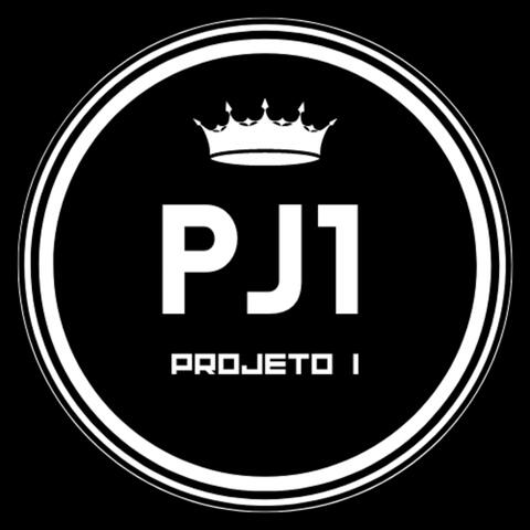 Proyecto 1