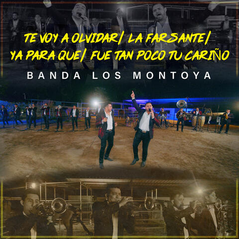 Te Voy a Olvidar / La Farsante / Ya para Que / Fue Tan Poco Tu Cariño