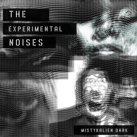 The Experimental Noises