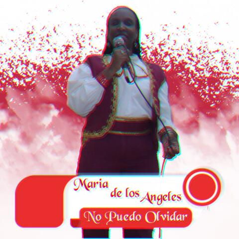 No Puedo Olvidar