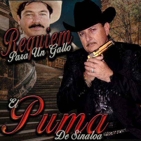 Requiem para un Gallo