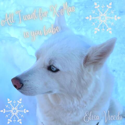 All I Want for X-Mas Is You Babe