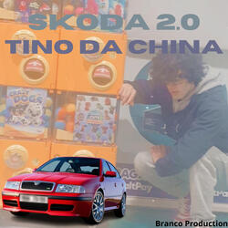 Skoda 2.0