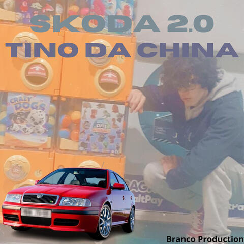 Skoda 2.0