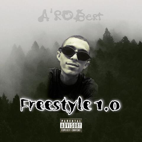 Freestyle 1.0