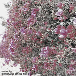 Obsessed with Your Love