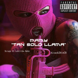 Mamy (Tan Solo Llama)
