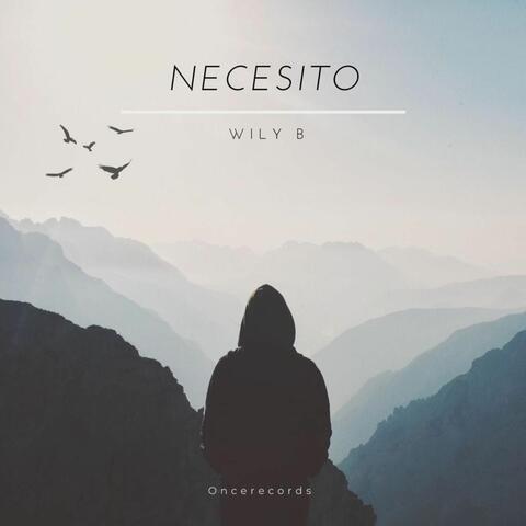 Necesito