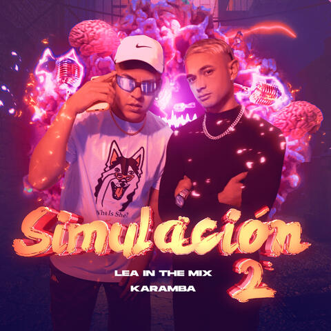 Simulación #2