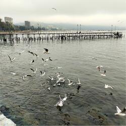 Просто живи