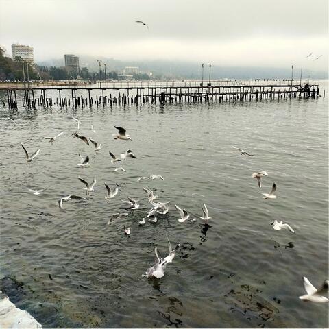 Просто живи