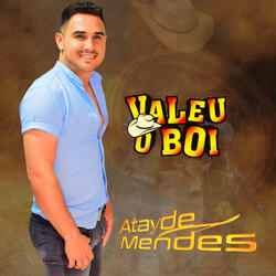 Valeu o Boi
