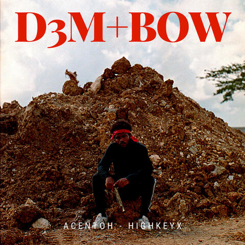 D3M+Bow