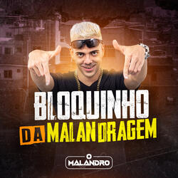 Bloquinho da Malandragem