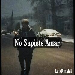 No Supiste Amar