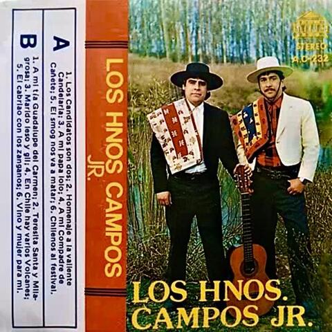Los Hermanos Campos Jr.