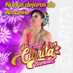 Nunca Dejaras de Amarme