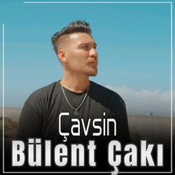 Çavsin