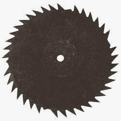 Художник Бацилла