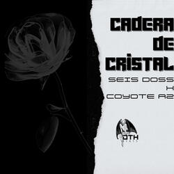 Cadera de Cristal