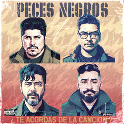 ¿Te Acordas de la Canción?