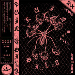 Es Porque un Pirobo Le Robó la Bicha a Otro Pirobo