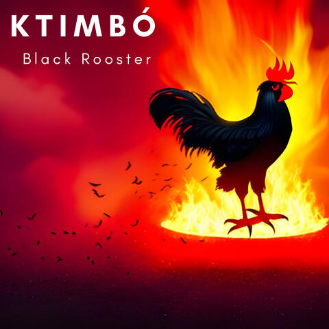 Black Rooster