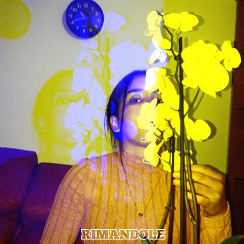 Rimandole