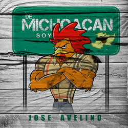 De Michoacan Soy
