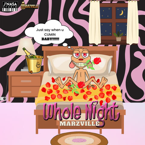 Whole Night