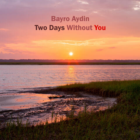 Two Days Without You