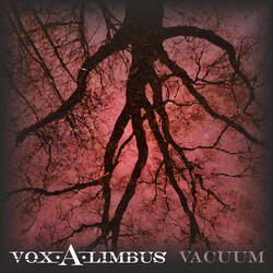 Vacuum