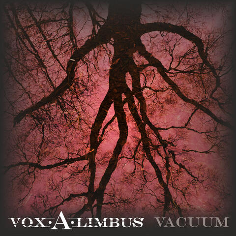 Vacuum