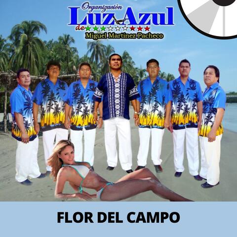 Flor del Campo