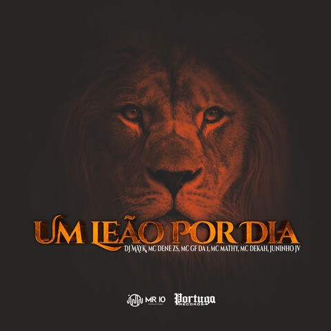 Um Leão por Dia