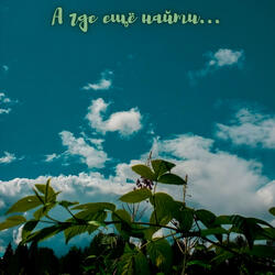 А где ещё найти