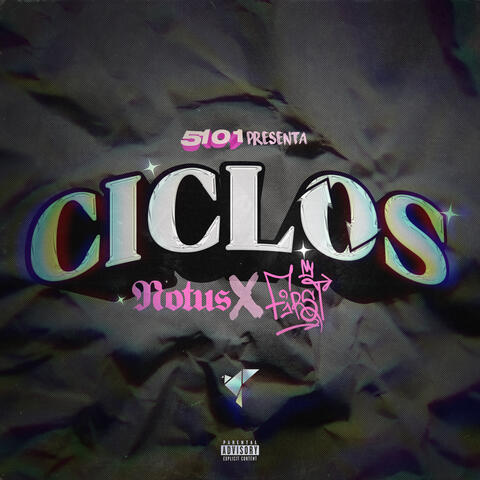 Ciclos