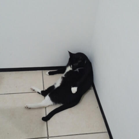 Plug (Des)Nescessário