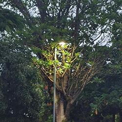 Eu Não Mereço Isso