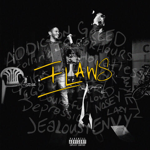 FLAWS