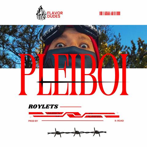 Pleiboi