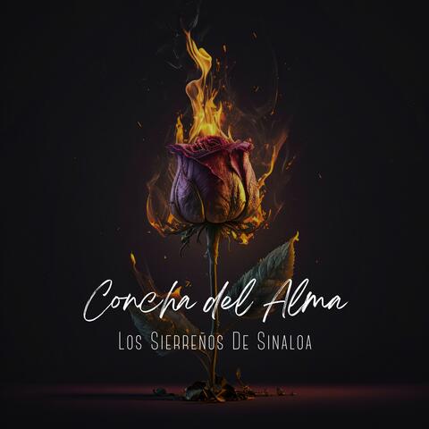 Concha del Alma
