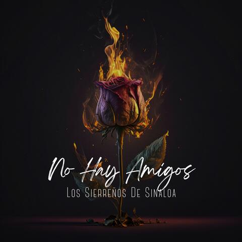 No Hay Amigos