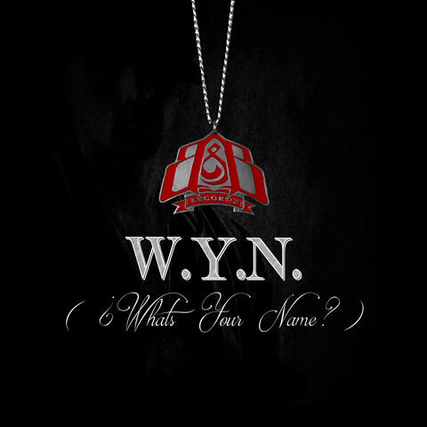 Wyn ¿What's Your Name?