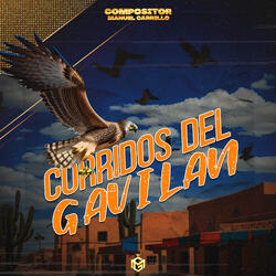 Corrido del Gavilan