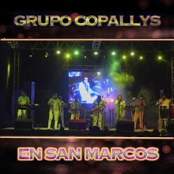 Julia/Son de los Moros/ El Toro Meco/ Son Putleco